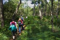 Tag 4 Wanderung von Crucuno nach Erdeven