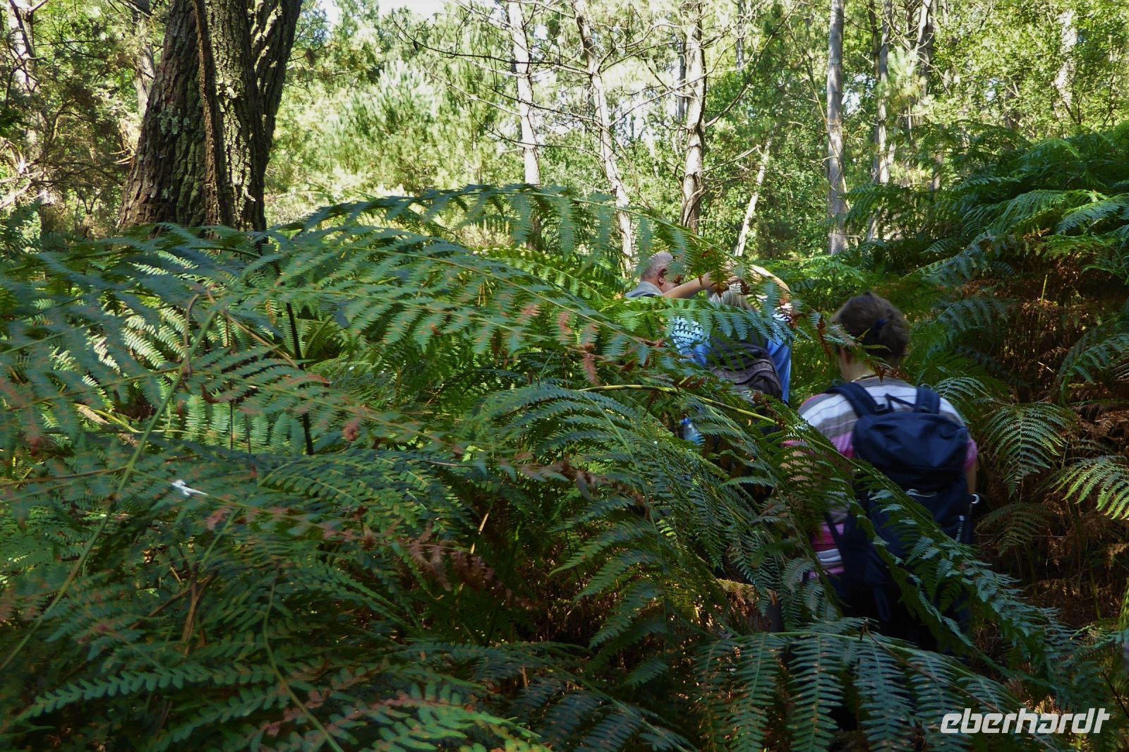 Tag 4 Wanderung von Crucuno nach Erdeven