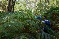 Tag 4 Wanderung von Crucuno nach Erdeven