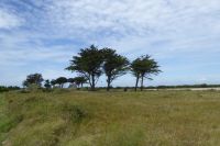 Tag 5 Strandwanderung zum Leuchtturm von Eckmühl