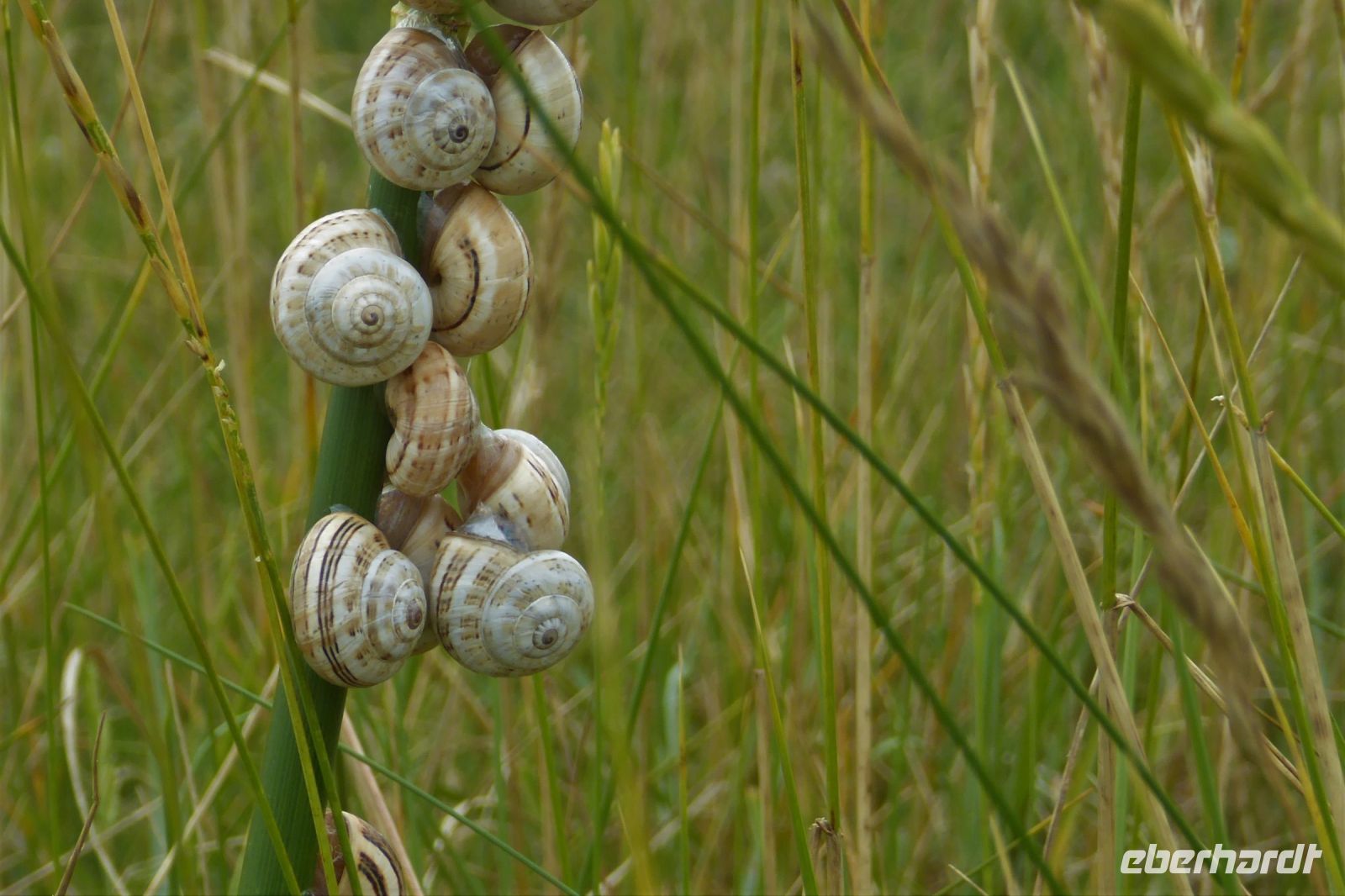 Tag 5 Strandwanderung zum Leuchtturm von Eckmühl