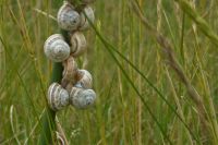 Tag 5 Strandwanderung zum Leuchtturm von Eckmühl