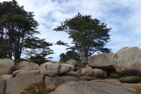 Tag 7 Wanderung bei , Halbinsel Renote