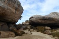 Tag 7 Wanderung bei , Halbinsel Renote