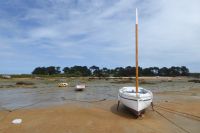 Tag 7 Wanderung bei , Halbinsel Renote