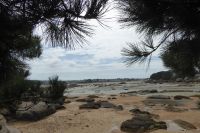 Tag 7 Wanderung bei , Halbinsel Renote