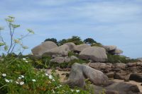 Tag 7 Wanderung bei , Halbinsel Renote