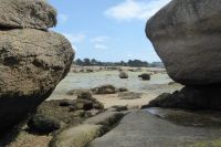 Tag 7 Wanderung bei , Halbinsel Renote