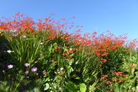 Tag 8 Wanderung auf dem Zöllnerpfad