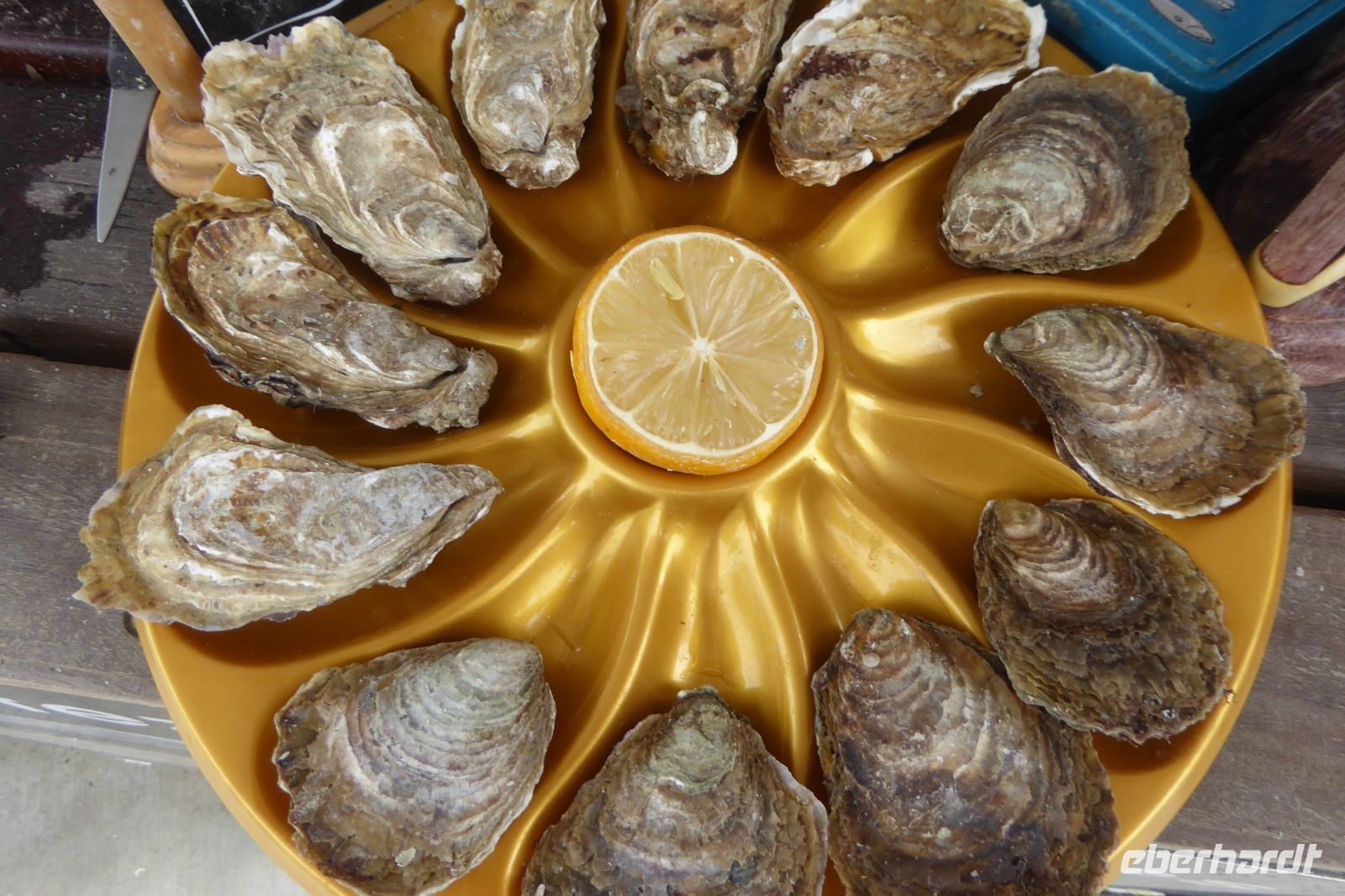 Tag 9 Austernessen in Cancale