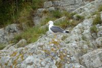 Tag 9 Mont Saint Michel