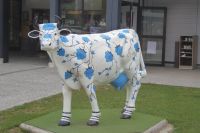 Tag 9 Normannisches Wahrzeichen am Mont St. Michel