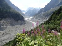 Chamonix, Eismeergletscher