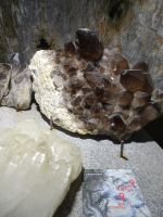 Chamonix, Mineralien des Mont Blanc-Massivs