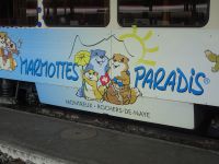 Einladung der Murmeltiere...