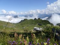 ... einer üppigen Vegetation...
