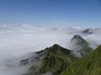 ... mit satten Bergwiesen...
