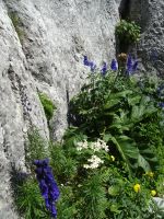 ... in allen Farben...