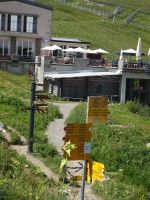 Rochers de Naye, gute Abstiegsmöglichkeiten für unsere Wanderer