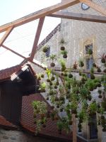 Pflanzeninstallation am Inselpalast..