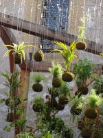 ... für südliches Flair