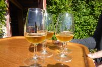 Tag 2 Calvados Brennerei Manoir d´Apreval 