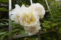 Tag 4 Bei Christian Dior in Granville