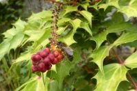 Tag 4 Bei Christian Dior in Granville