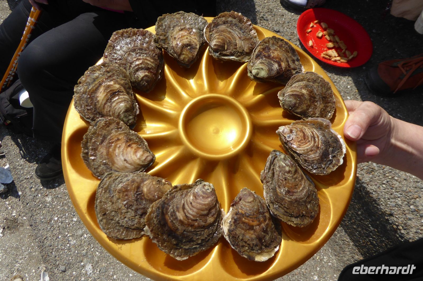 Tag 5 Austernessen in Cancale