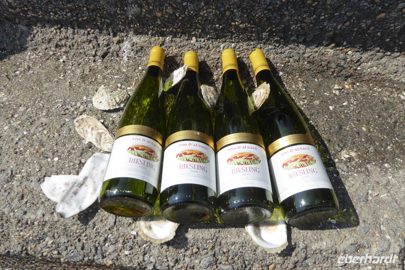 Tag 5 Austernessen in Cancale