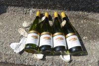 Tag 5 Austernessen in Cancale