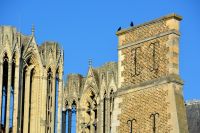 Stelldichein der Vögel in luftiger Höhe