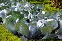 wer ist der Schönste im ganzen Land?