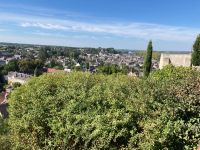 Flusslandschaft bei Amboise