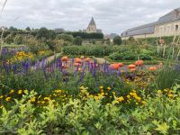 Villandry - Jardin