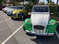 Auch Enten bekommen ihren Ausflug....