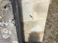 Sonnenbad am Sonntag...