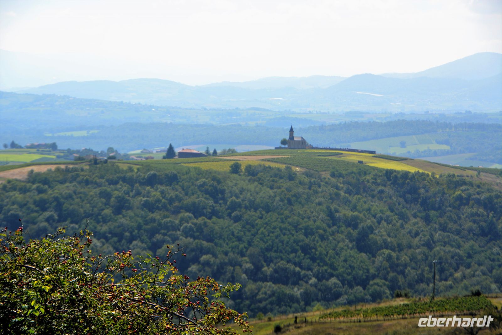Blick ins Beaujolais