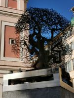 Tag 2 Nizza, Altstadt 