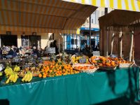 Tag 2 Nizza, buntes Markttreiben 