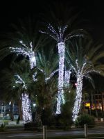 Tag 2, Nizza, Abendbummel an der Promenade des Anglais 