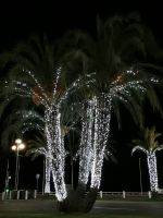 Tag 3 Nachtspaziergang an der Promenade