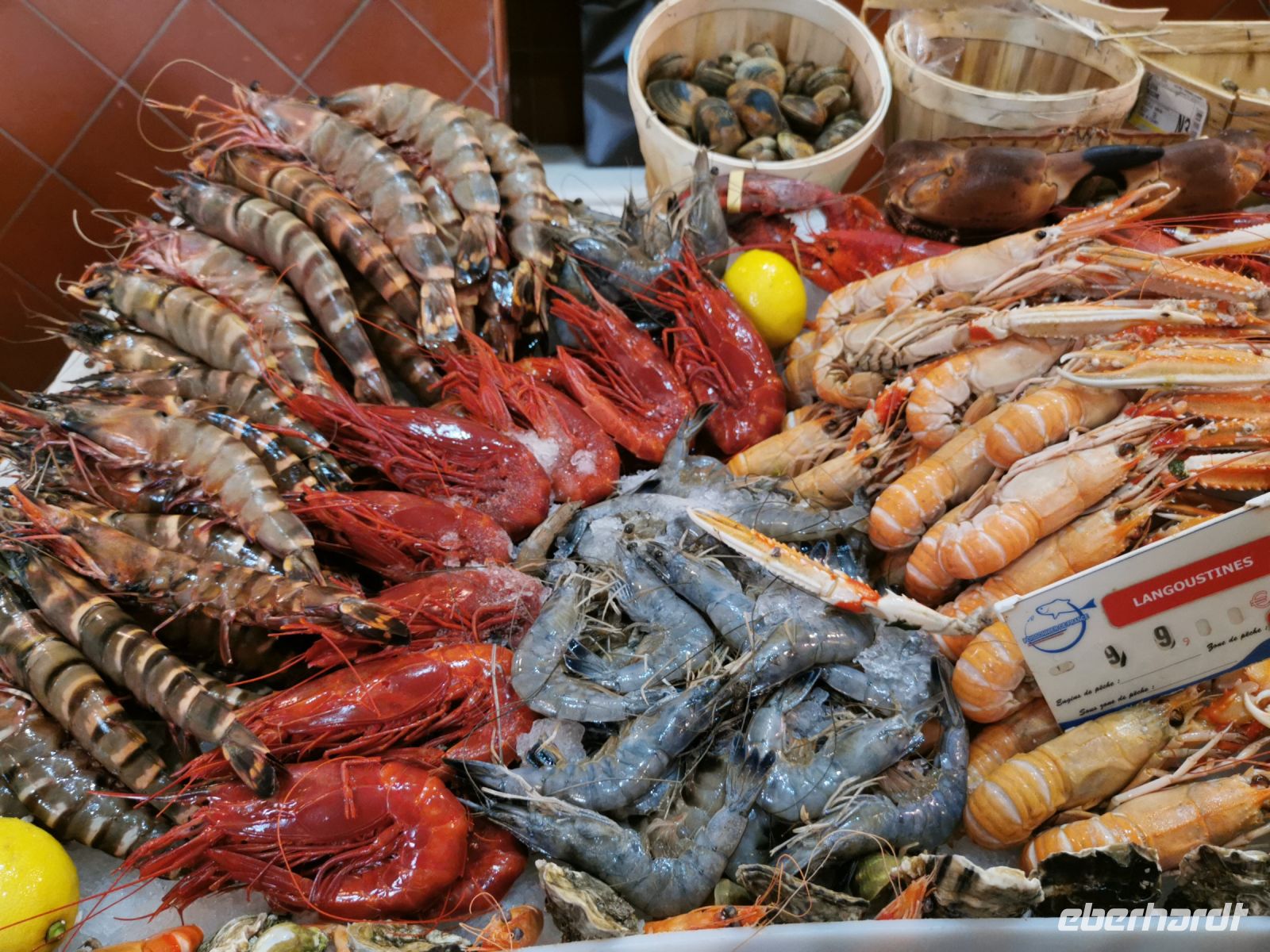 Tag 3 St. Tropez, Fischmarkt