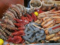 Tag 3 St. Tropez, Fischmarkt