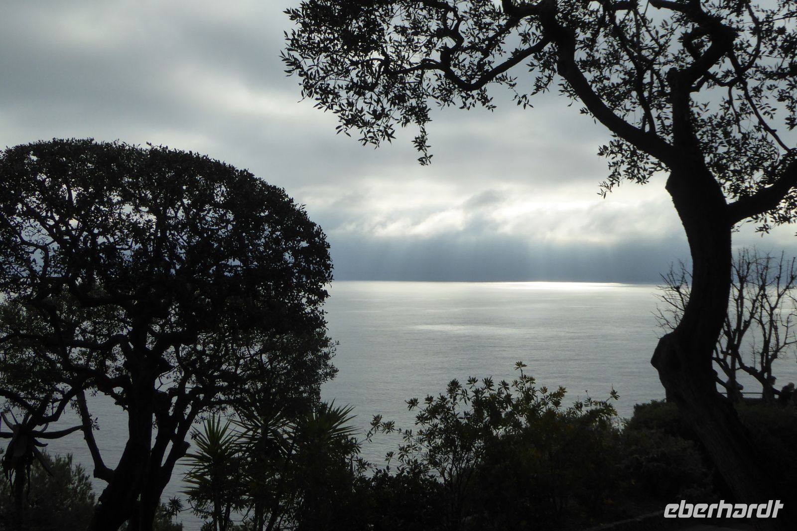 Tag 4 Besuch im Fürstentum Monaco 