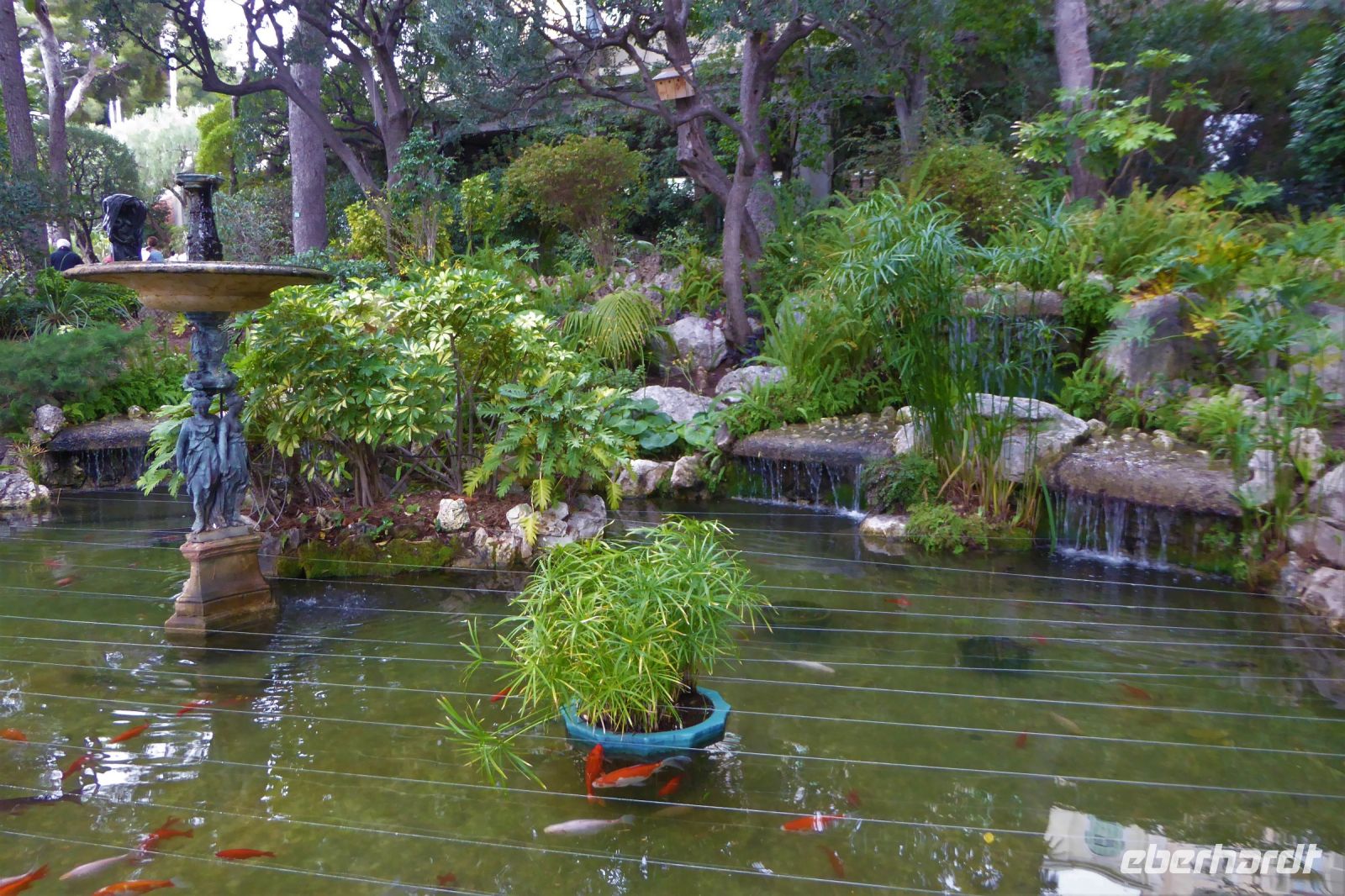 Tag 4 Monaco, botanischer Garten