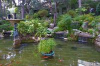 Tag 4 Monaco, botanischer Garten