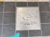 Tag 5 Cannes, Filmpalast und Casino  