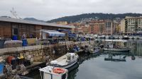 Tag 6 Nizza, Hafen  