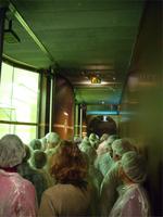 Tag 3 - 3 - Besuch der Senffabrik Fallot (4)